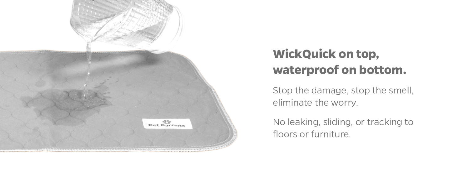 Pet Parents Pawtect® Pads Washable Dog Pee Pads (2pack) of