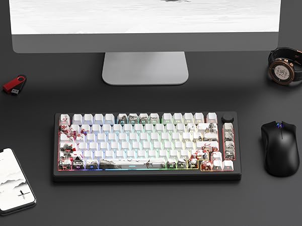 Amazon.com: Womier PBT Keycaps Set 130 Keys, Custom White