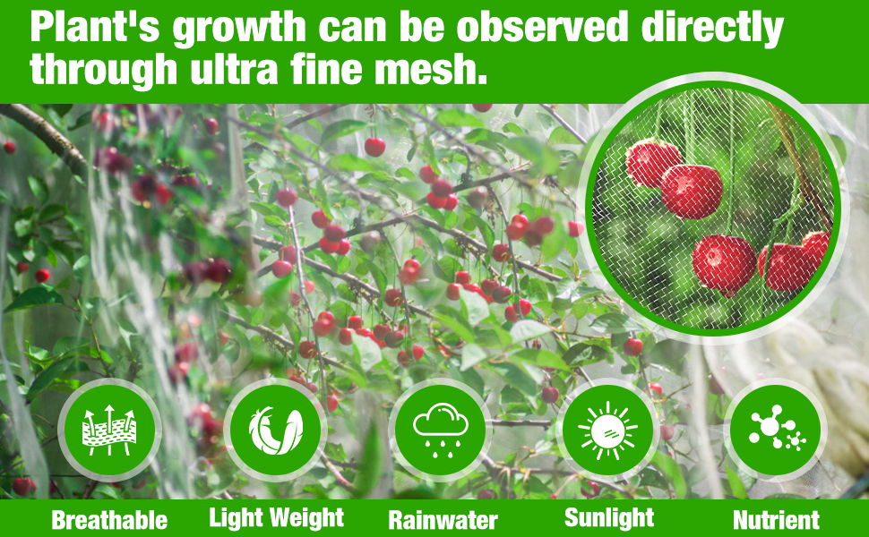 Garden Netting 10 * 50 FT Ultra Fine Mesh Netting Protection Plant