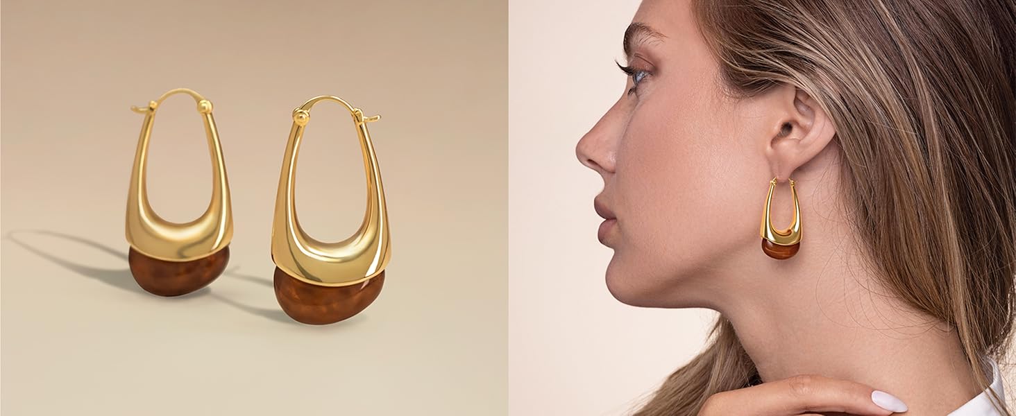 Gold Brown Tiger Eye Resin Dangle Earrings by SNGIA 41