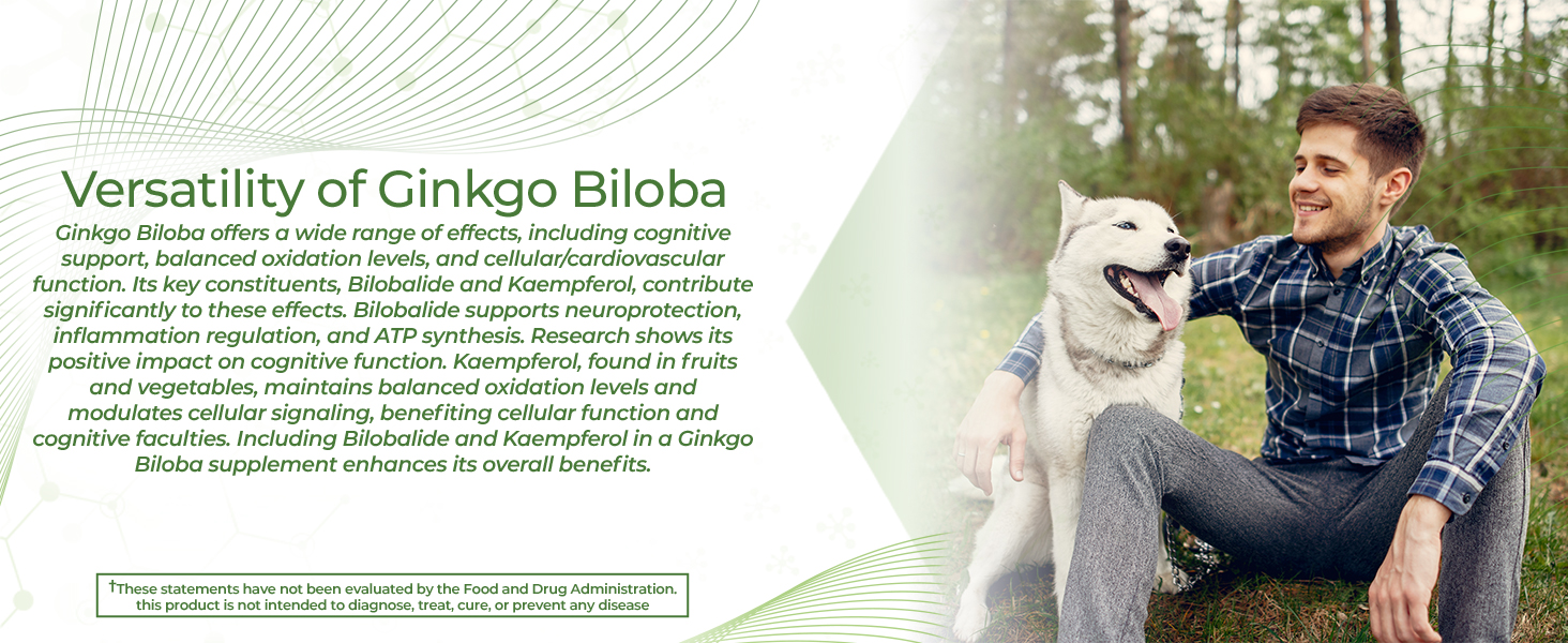 Large manufacture image 6