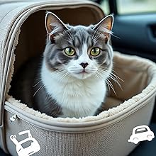 Perfect for Grooming, Vet Visits & Travel