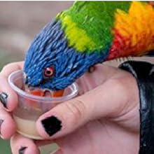 Small manufacture image 2