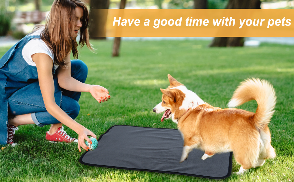 Hengu 4 PACK Dog Pee Pad Washable18"x24" Reusable Pets Mat for Floor