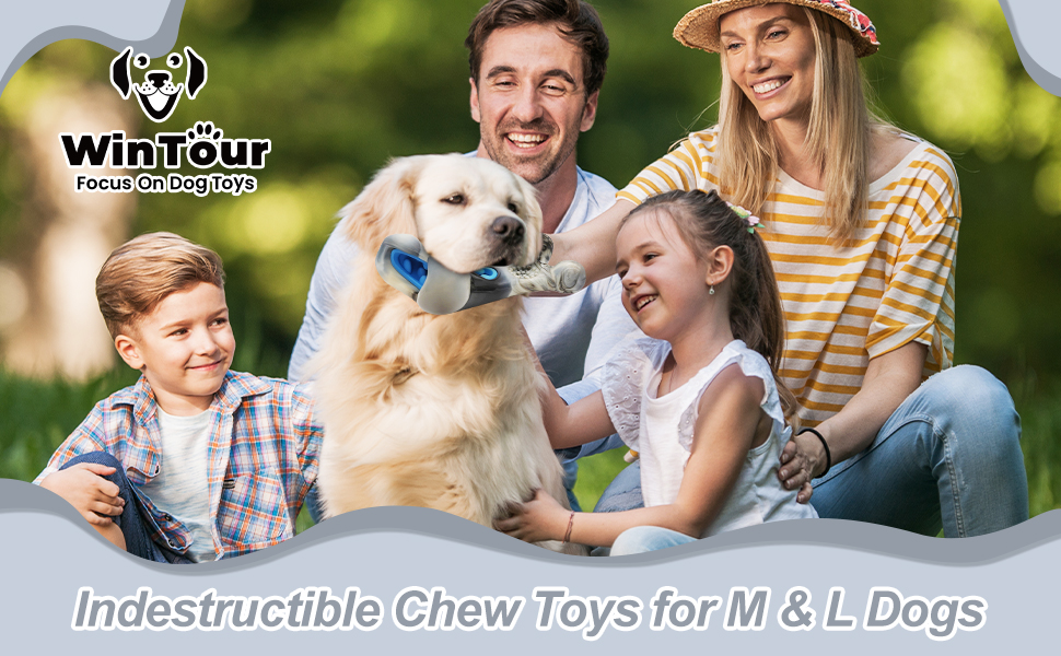 aggressive chew toys for large dogs