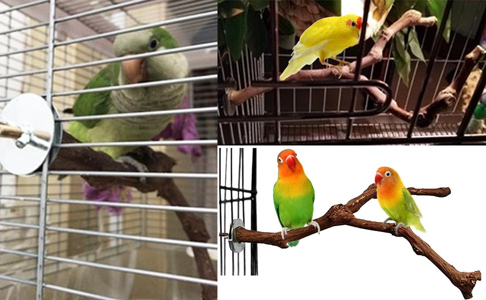 bird Grinding Paw Climbing Wood Cage Accessories 