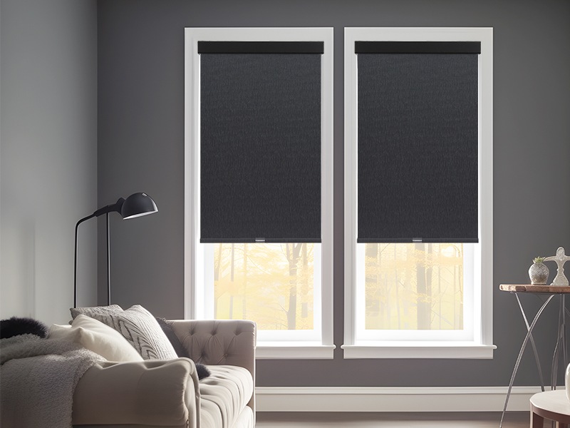 Tonature 100 Blackout Roller Shades for Windows Cordless