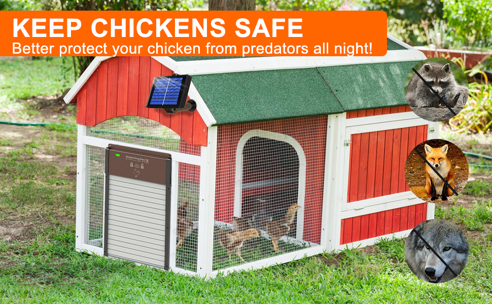 Automatic Chicken Coop Door with Timer, Light Sensor and
