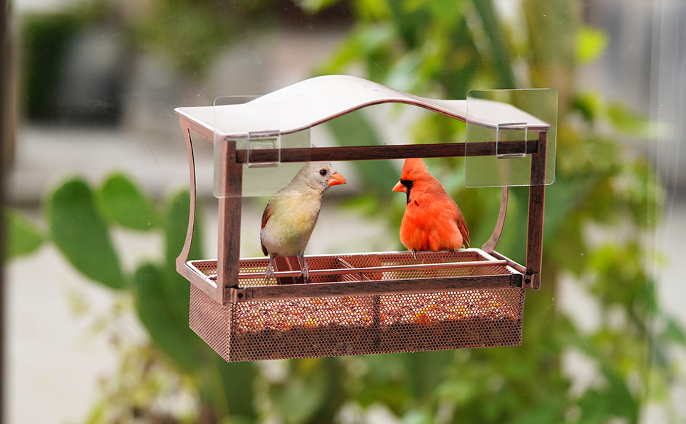 Window Bird Feeder, Desgully Durable Metal Window Bird Feeder, Window