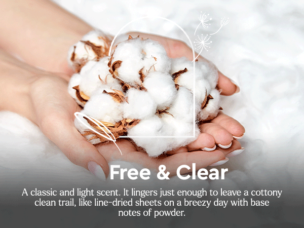 Lifestyle image of ingredients, highlighting the scents