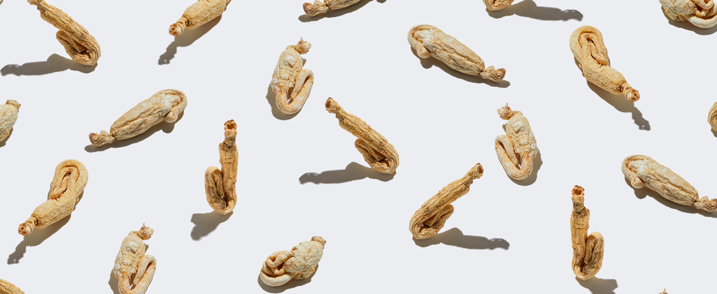 ginseng 
