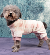 Dog Pajamas