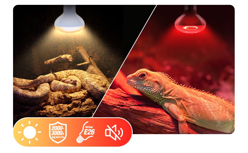 reptile heat lamp,heat lamp bulbs,reptile heat light,night heat light,red night heat lamp