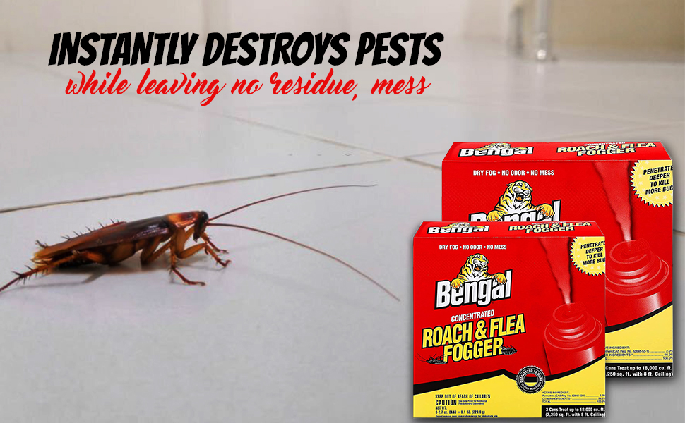 Bengal Roach fogger Roach Killer Roach Killer Indoor