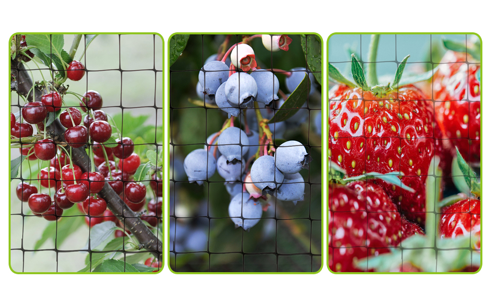 POYEE Bird Netting for Garden 2m x 20m Heavy Duty Garden Netting for