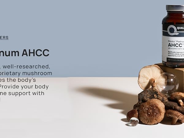 ahcc kinoko platinum mushroom extract qol