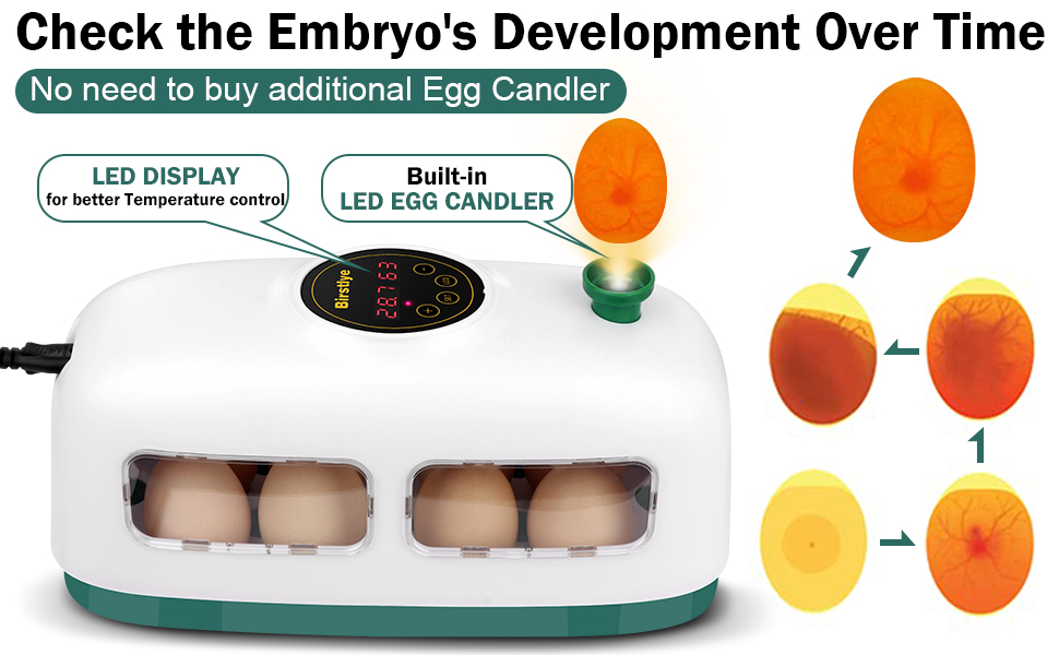 Egg Incubator for Hatching Chicks, 8 Eggs Poultry Hatcher