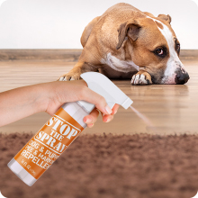 no more marking spray for dogs dont pee here dog spray anti pee spray for dogs inside anti pee dog