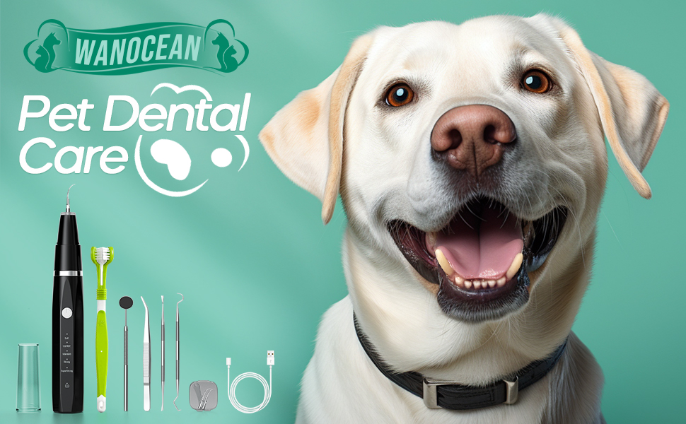Dog ToothBrush Kit, Ultrasonic Dental Tools to Remove Plaque and Tartar ...
