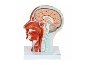 Small manufacture image 5