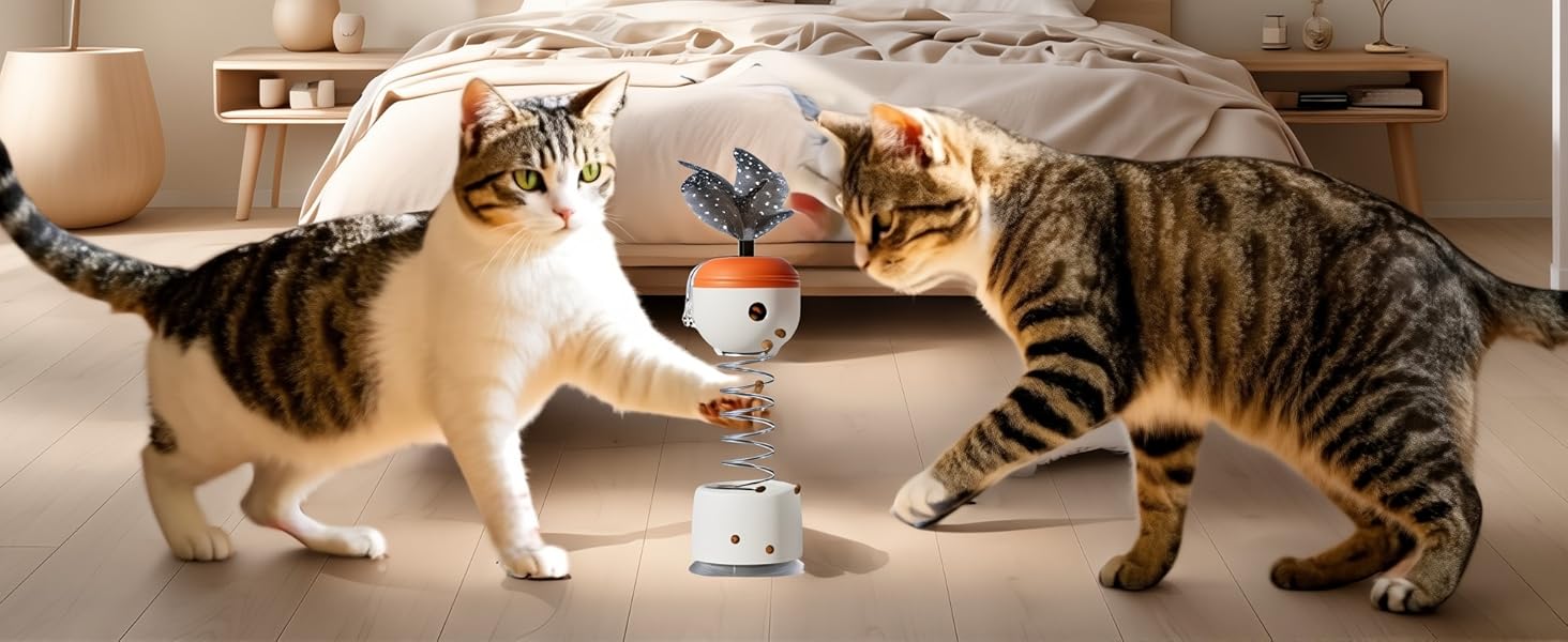 Cat Treat Dispenser