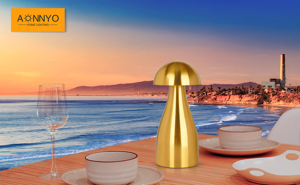 Touch Cordless Table Lamp, Adjustable 3 Color Temp, Metal