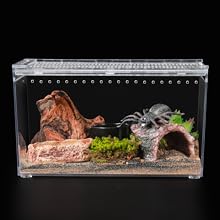 gecko tank