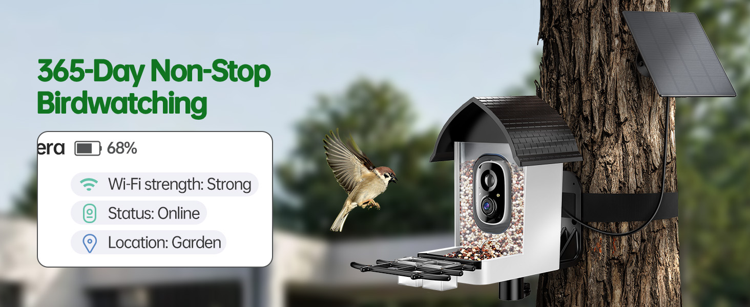 Solar Smart Bird Feeder with Camera