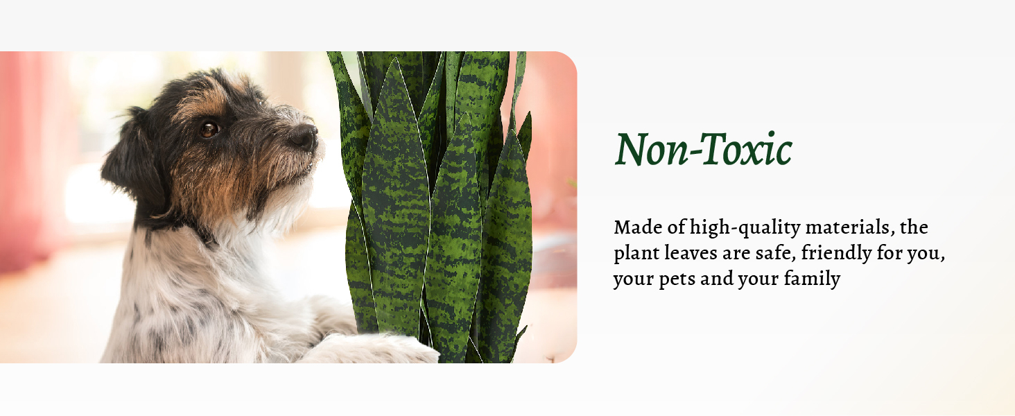 KOL Artificial Snake Plant