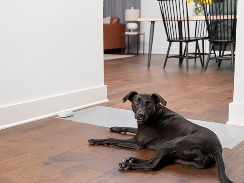 Large manufacture image 3