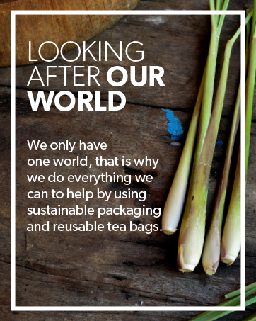 Lemongrass & Ginger - Looking After Our World
