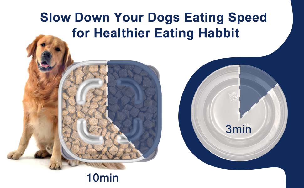 Stainless Steel Slow Feeder Dog Bowl, Metal Slow Feeding