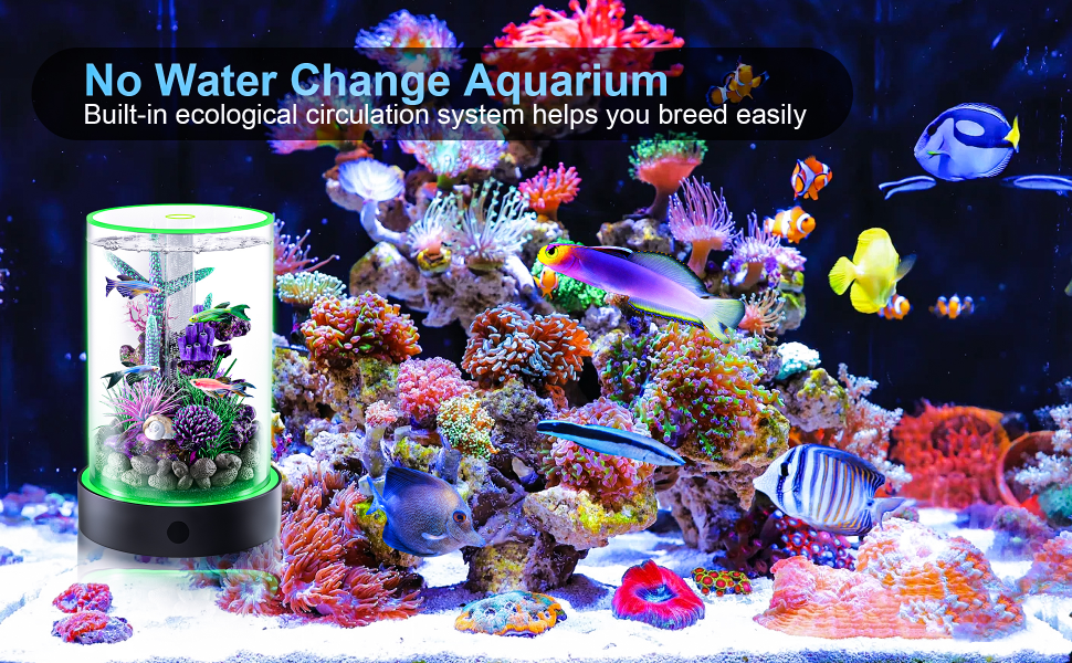 Small Fish Tank Starter Kit LÜSEN 1.8L Betta Aquarium with Filter and