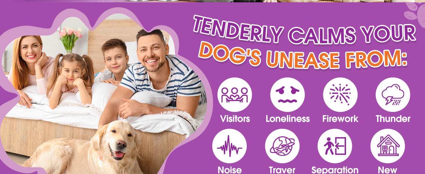 dog pheromones calming diffuser
