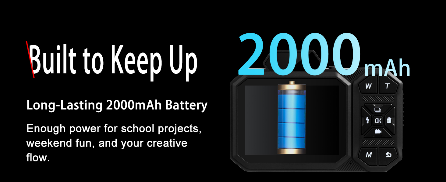 Long-lasting battery