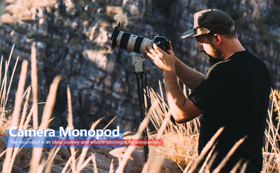 travel monopod 
