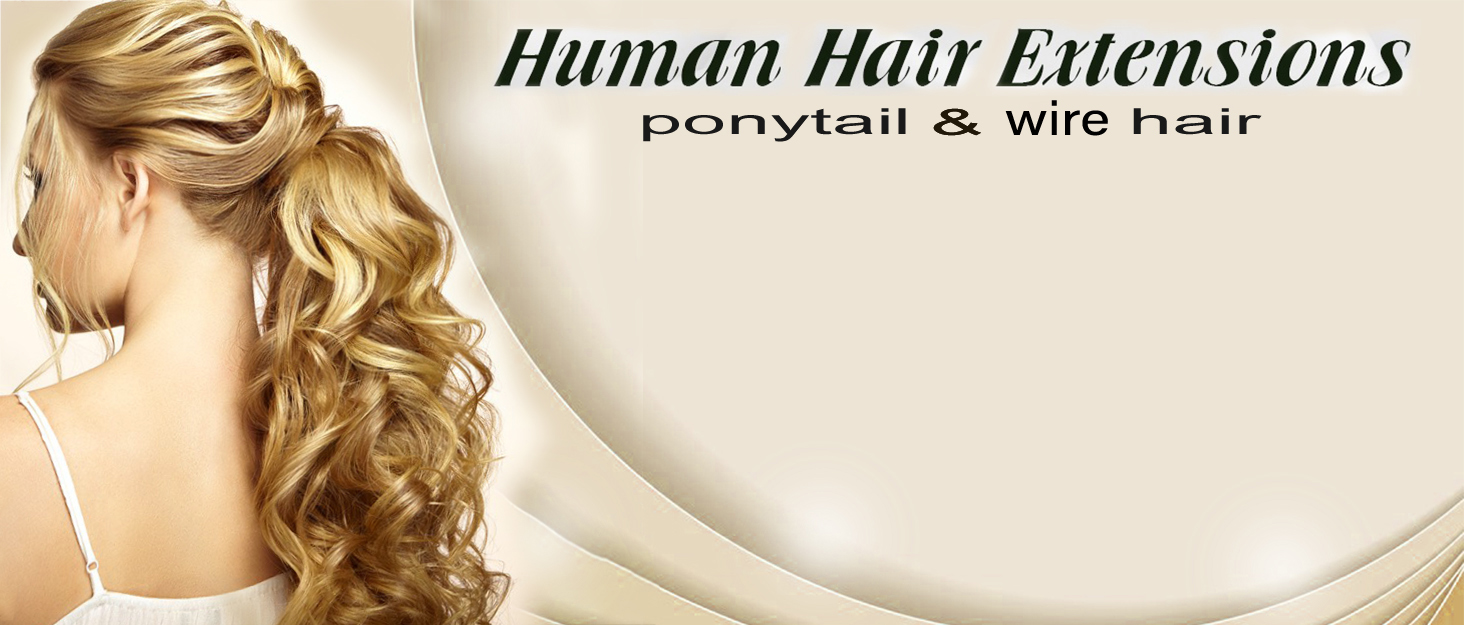 ponytail extensions human