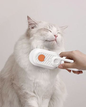 cat steam brush