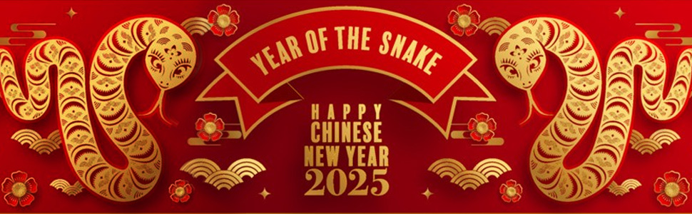 hallmark chinese new year 2025