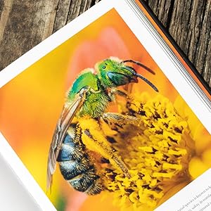 Small manufacture image 1