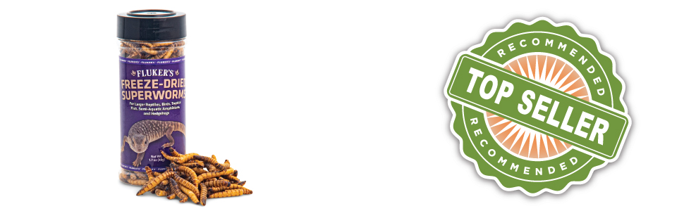 bottle of Freeze Dried Superworms with a pile of superworms near the bottle