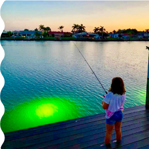 underwater dock light deep glow system green fishing submersible waterproof electric marine night