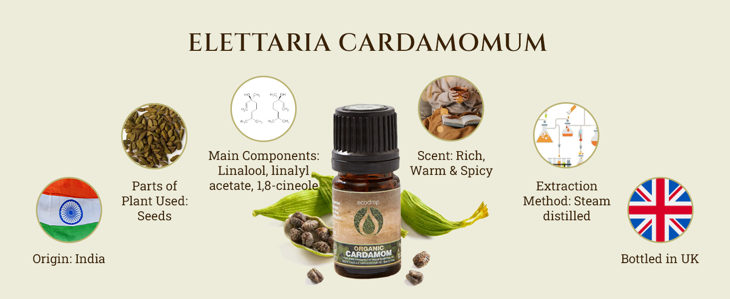 Cardamom Essential Oil Cosmos Certified Organic Pure Therapeutic Aromatherapy Massage DIY Recipes 