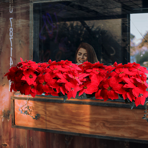 artificial christmas plants outdoor