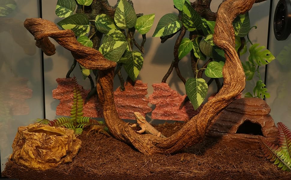 reptile branch