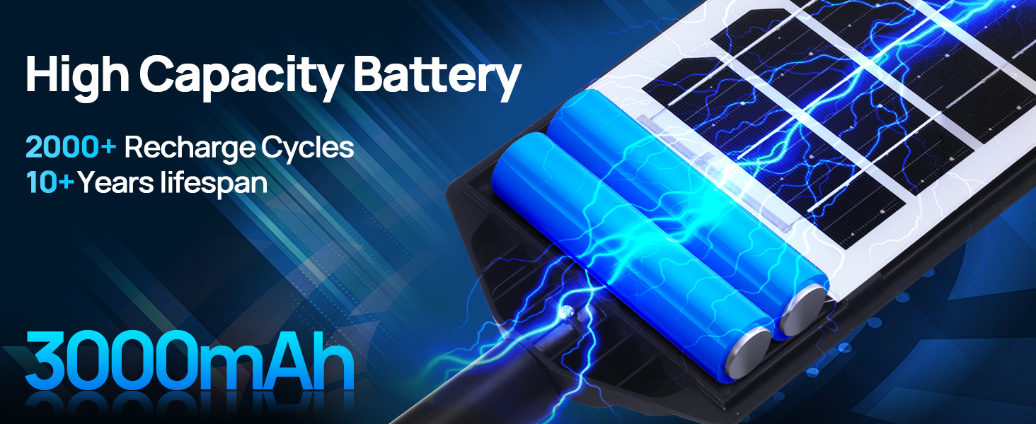 high capacity battery