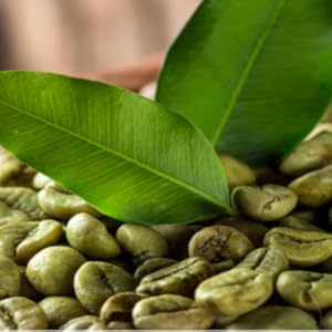 Green Coffee Bean