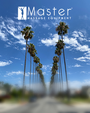 portable massage table, foldable massage couch, beauty bed, spa couch, lash bed, therapy table