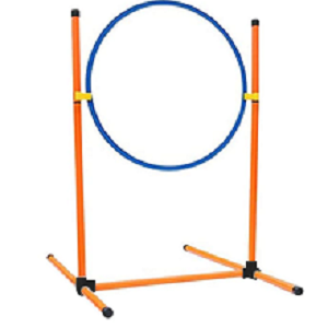 Dog Agility Training Equipment