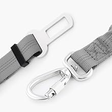 dog seat belt for car
